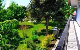 Boemul Guest House